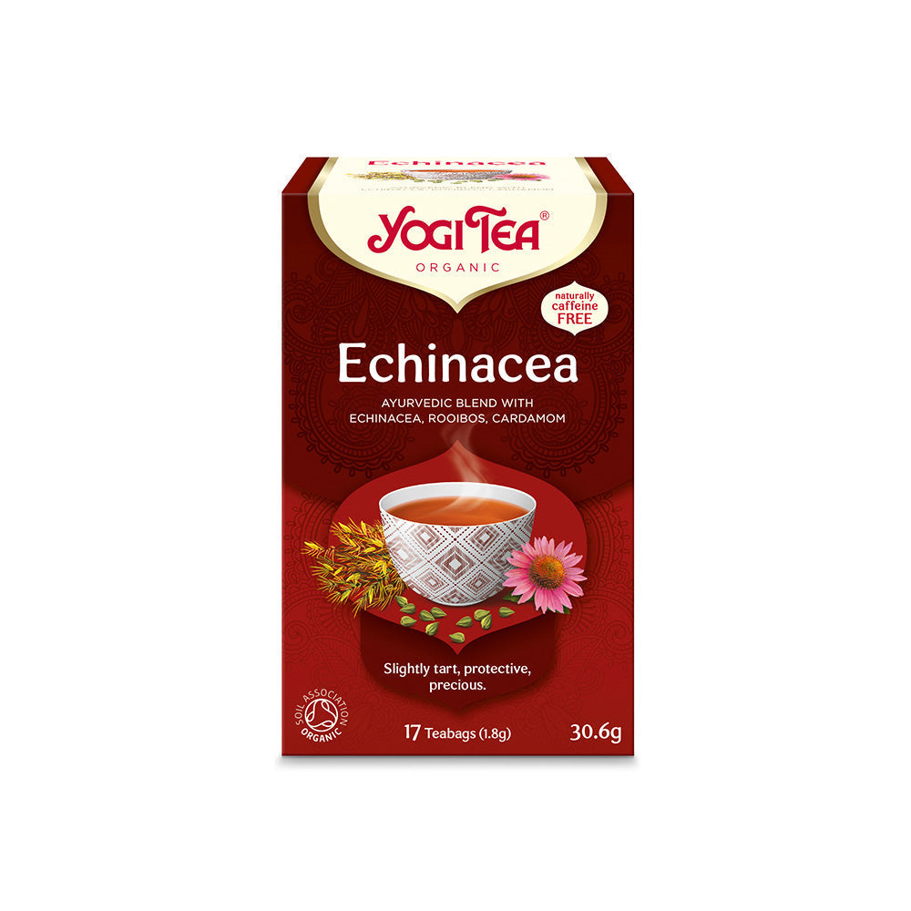 Echinacea