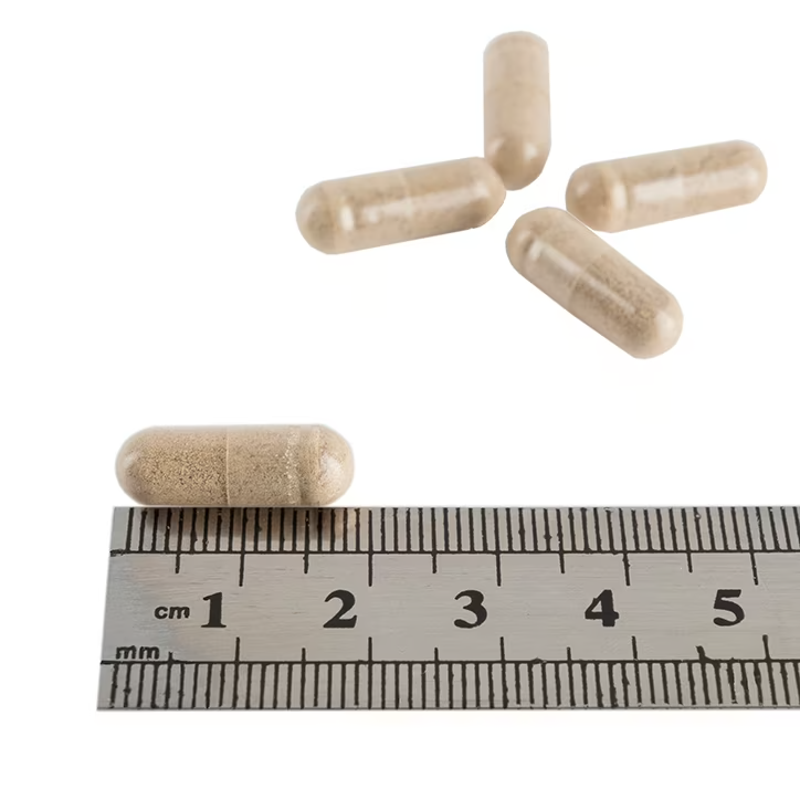 Ginkgo Biloba 120mg - 30db