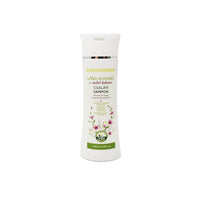 Csalan-sampon-(DT)-150ml