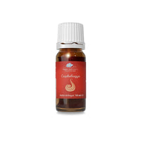 Csipkebogyó olaj - 10 ml