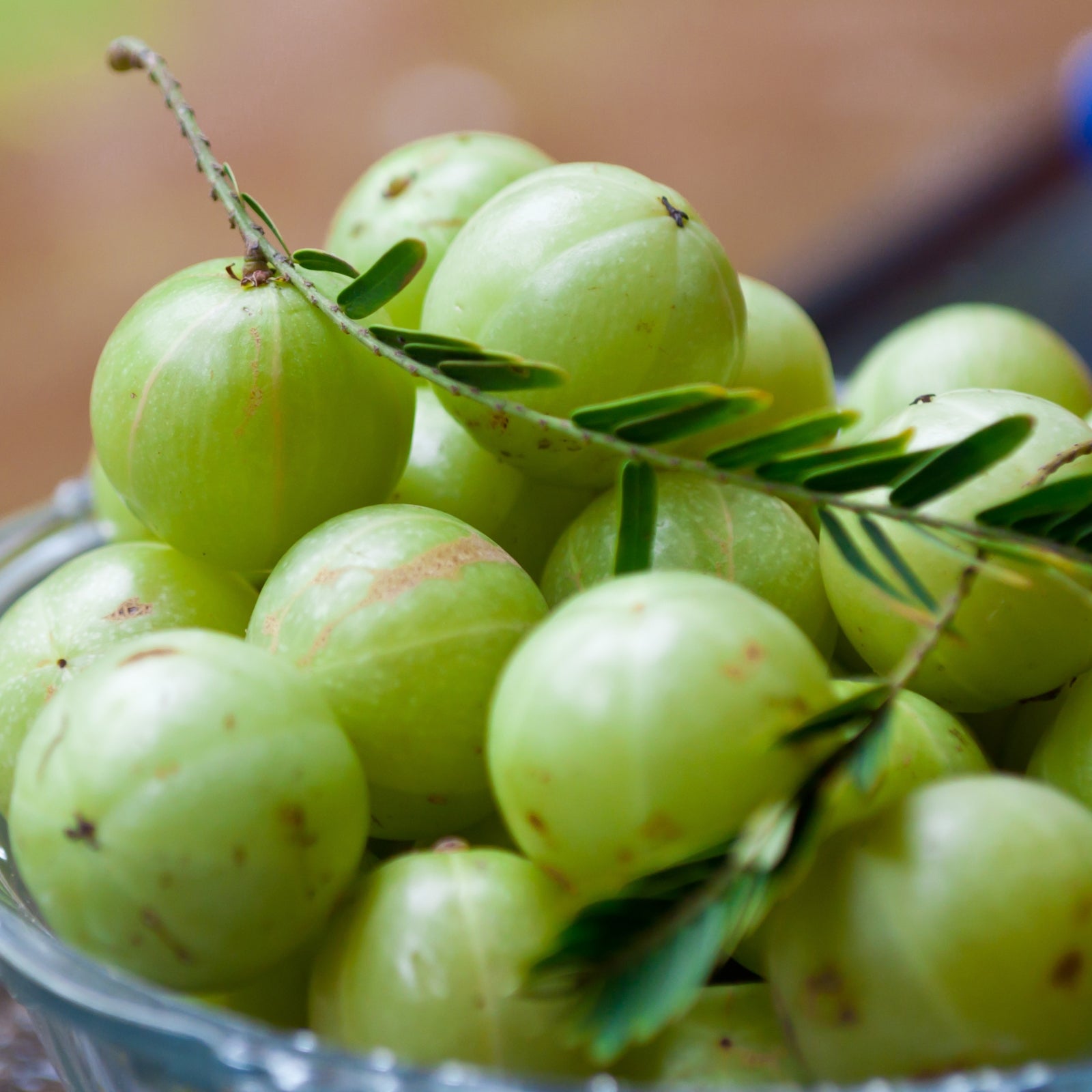 Amla por - bio - 125g